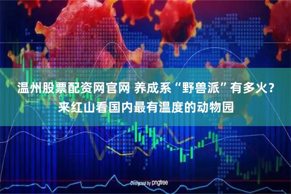 温州股票配资网官网 养成系“野兽派”有多火？来红山看国内最有温度的动物园