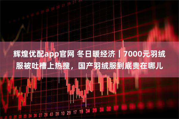 辉煌优配app官网 冬日暖经济｜7000元羽绒服被吐槽上热搜，国产羽绒服到底贵在哪儿