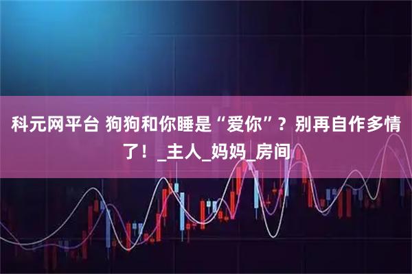 科元网平台 狗狗和你睡是“爱你”？别再自作多情了！_主人_妈妈_房间