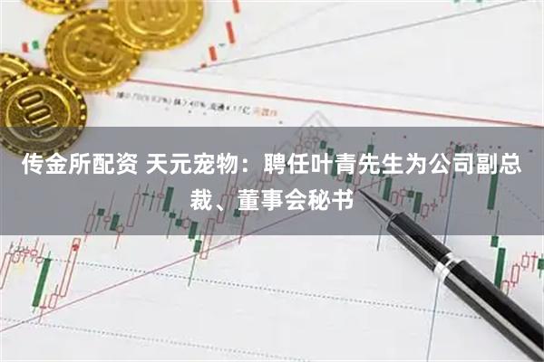 传金所配资 天元宠物：聘任叶青先生为公司副总裁、董事会秘书