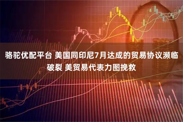 骆驼优配平台 美国同印尼7月达成的贸易协议濒临破裂 美贸易代表力图挽救